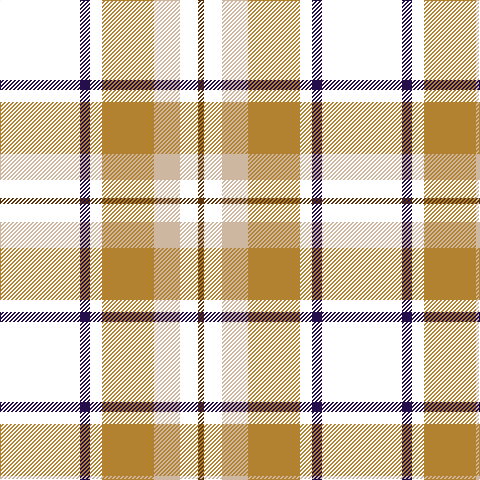 W/80 DB10 W12 LT52 N26 W18 T/6 tartan Tartan detail