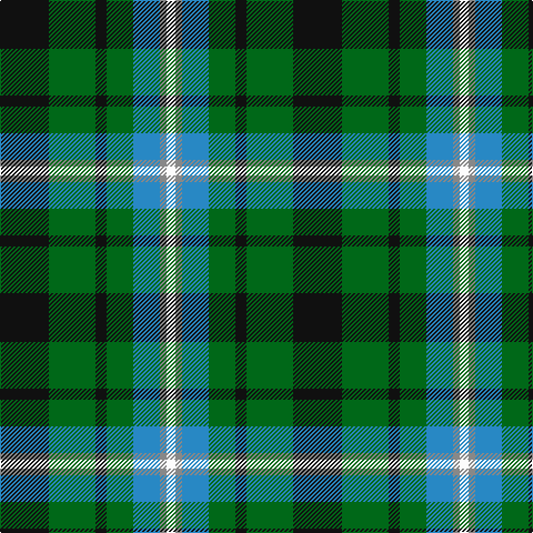 K/44 G42 K10 G24 B24 N6 W/8 tartan Tartan detail