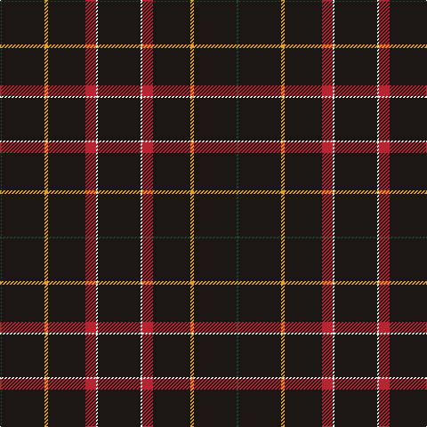 DG/2 K48 Y4 K42 R12 W2 K/48 tartan Tartan detail