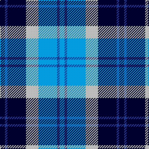 DB/8 Ba4 DB30 LN20 B30 Ba4 B/8 tartan Tartan detail