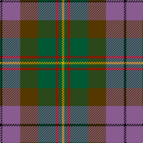 K/4 LP30 T30 G30 R4 G6 Y/4 tartan Tartan detail