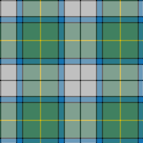 K/4 N50 K4 B16 K4 G56 Y/4 tartan Tartan detail