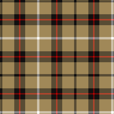 K/10 LT50 K20 R6 K20 LT50 W/10 tartan Tartan detail