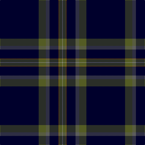DB/128 G24 N12 DB30 DY2 G10 Na/2 tartan Tartan detail