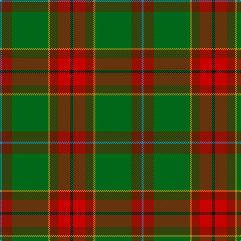 B/4 T20 G72 DY4 T16 R24 K/6 tartan Tartan detail