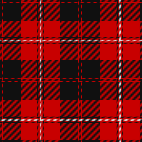 K/6 R4 K60 R56 K4 R4 LN/6 tartan Tartan detail