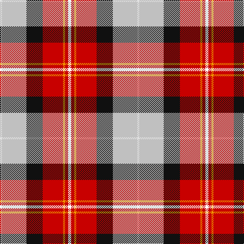 LN/4 N48 K32 R40 DY4 R6 YY/6 tartan Tartan detail