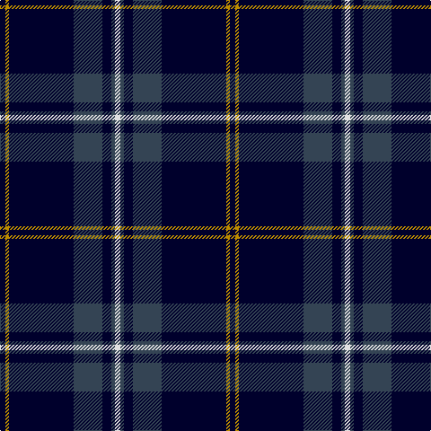 DB/6 DY4 DB72 N32 DB10 N4 LN/6 tartan Tartan detail