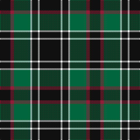K/36 DR12 G56 W6 K20 W6 K/72 tartan Tartan detail