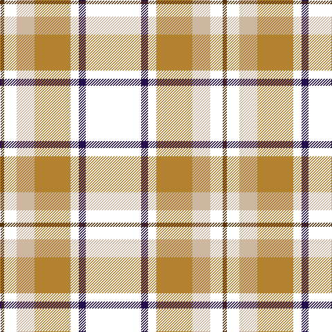 T/6 W18 N26 LT52 W12 DB10 W/80 tartan Tartan detail