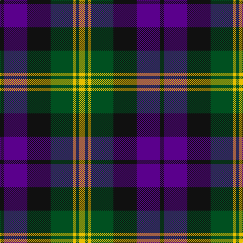 K/8 P46 K46 G44 Y6 G6 Y/12 tartan Tartan detail