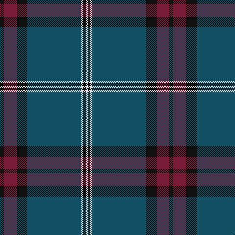 K/8 DR26 K22 DB110 LN4 K5 LN/4 tartan Tartan detail