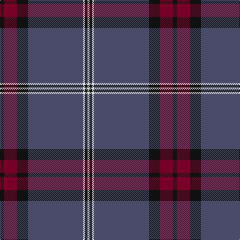 K/8 DR26 K22 N110 LN4 K5 LN/4 tartan Tartan detail