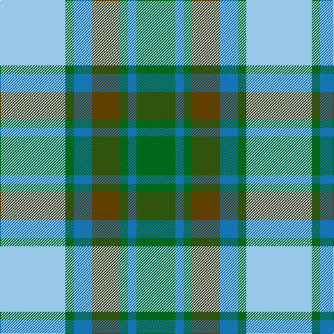 LB/94 G12 B26 T40 G12 B12 G/56 tartan Tartan detail