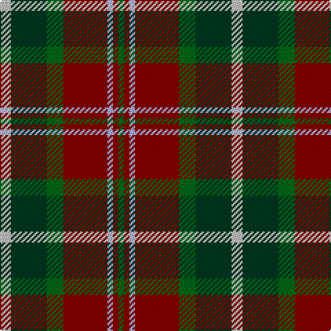N/8 DG26 G12 DR32 LP4 DR4 G/4 tartan Tartan detail