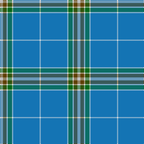 N/10 T12 LN4 G14 LN4 B88 LN/4 tartan Tartan detail
