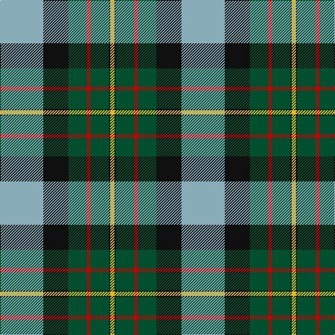 B/62 K36 G26 R6 G26 K2 Y/6 tartan Tartan detail