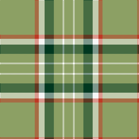 LT/120 R14 W20 DG32 LT30 W6 LT/30 tartan Tartan detail
