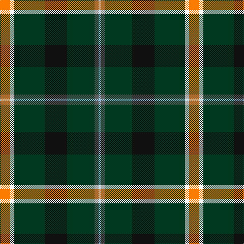 LB/4 N8 DG54 K44 DG60 W8 O/20 tartan Tartan detail