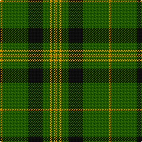 DY/4 G44 K24 G12 DY4 G4 DY/4 tartan Tartan detail