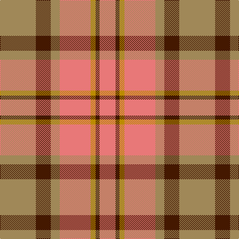 LT/72 DR30 LT18 LR62 DY10 DR8 LR/32 tartan Tartan detail