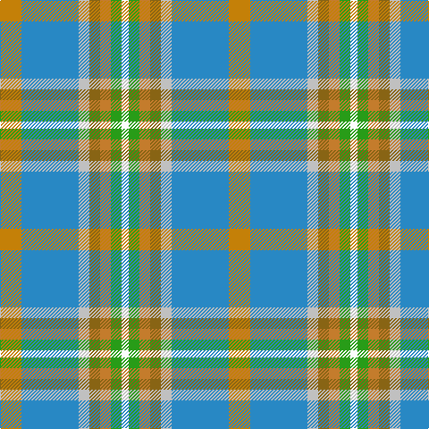 DY/24 B64 N12 T12 DO12 G12 W/8 tartan Tartan detail
