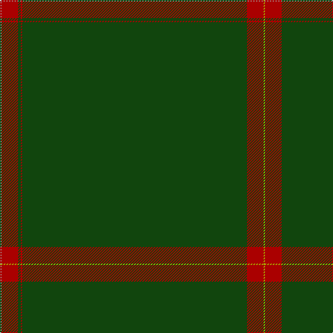 LG/2 DR24 DG324 DR2 DG4 DR24 N/2 tartan Tartan detail