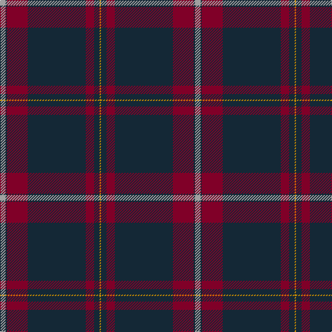 N/8 DN2 DR30 DN84 DR12 DN8 DY/2 tartan Tartan detail
