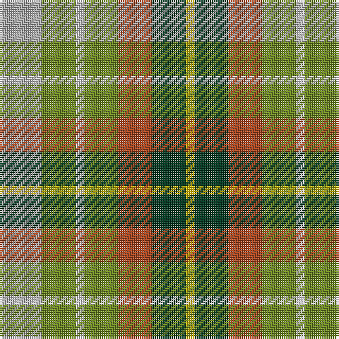 N/20 G16 LN4 G16 T16 DG16 Y/4 tartan Tartan detail