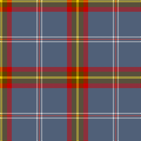 Y/8 T16 Ra16 N84 LN4 N4 R/4 tartan Tartan detail