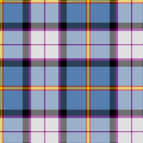 Y/8 R4 B64 K20 P8 LN44 P/4 tartan Tartan detail