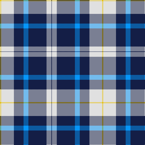 Y/4 LN42 DB32 B16 DB60 LN16 DB/2 tartan Tartan detail