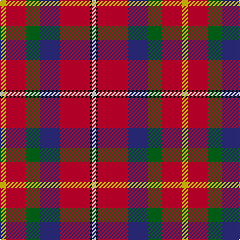 Y/6 R20 G14 DB20 R30 K2 LN/4 tartan Tartan detail
