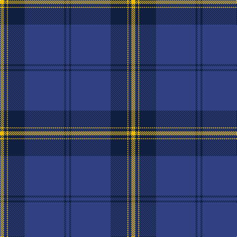 Y/8 DB6 Y2 DB34 B80 DB4 B/6 tartan Tartan detail