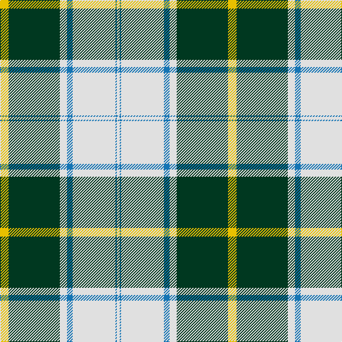 Y/12 DG72 LN10 B8 LN60 B2 LN/4 tartan Tartan detail