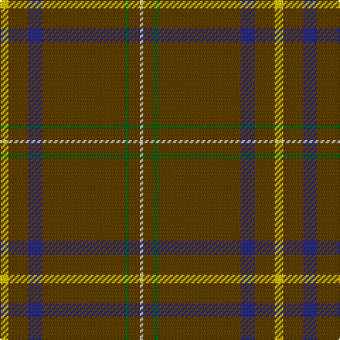 LN/2 T8 G3 T58 DB10 T14 Y/6 tartan Tartan detail
