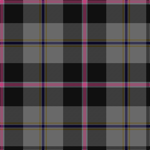 P/10 N4 K60 Na52 G4 Na4 DB/8 tartan Tartan detail
