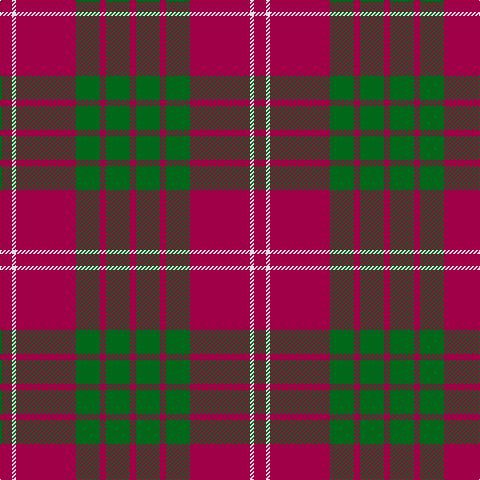 R/12 LN4 R60 G24 R6 G24 R/6 tartan Tartan detail