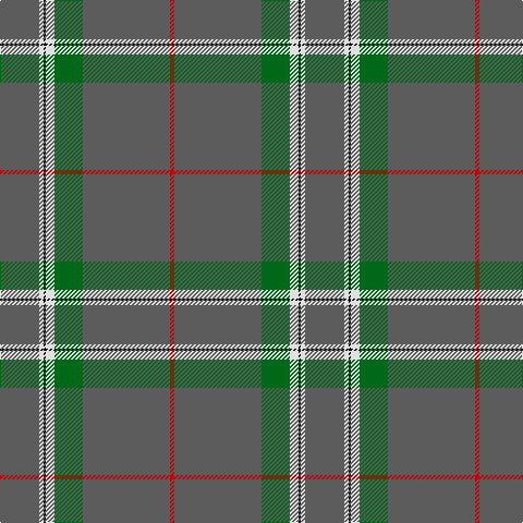 N/36 LN4 K2 LN8 G26 N80 R/4 tartan Tartan detail
