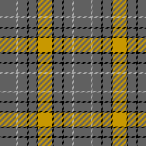 N/54 Na6 N28 K6 N26 K6 DY/46 tartan Tartan detail