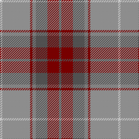 W/4 Nb48 DR4 N6 Na20 DR20 Na/4 tartan Tartan detail