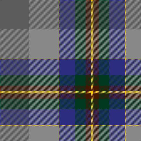 N/100 Na100 Y2 DB54 DG36 DR18 Y/8 tartan Tartan detail