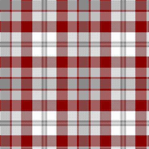 Na/32 DR6 N30 DR36 W30 Na6 N/6 tartan Tartan detail