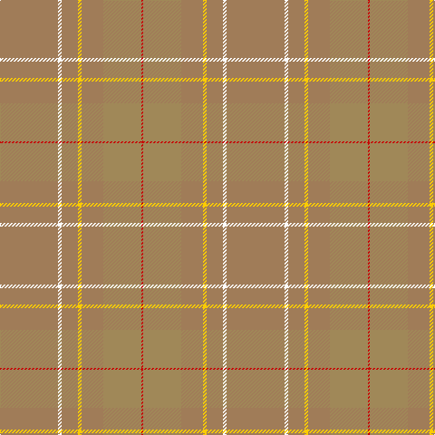 LTa/64 W4 LTa18 Y4 LTa24 LT42 R/2 tartan Tartan detail