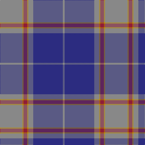 N/6 DB98 N16 DY4 DR12 DY4 N/74 tartan Tartan detail