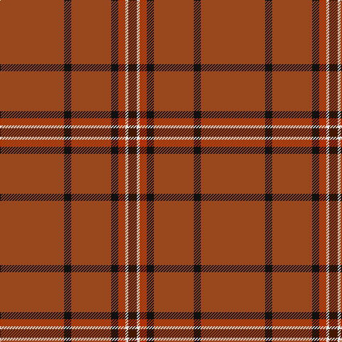T/90 K10 T56 K10 R10 LN4 DR/12 tartan Tartan detail