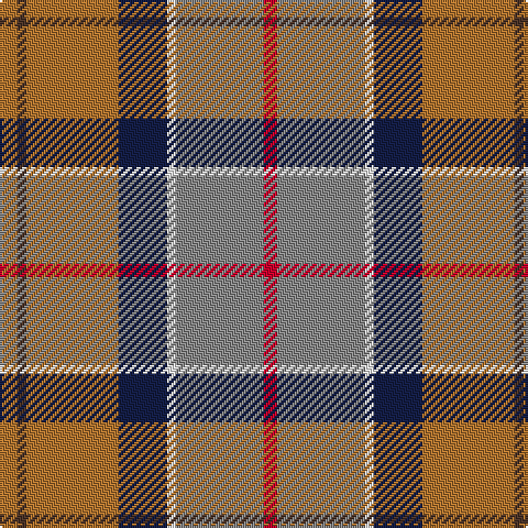 LT/8 T4 LT42 DB22 W4 N40 R/6 tartan Tartan detail