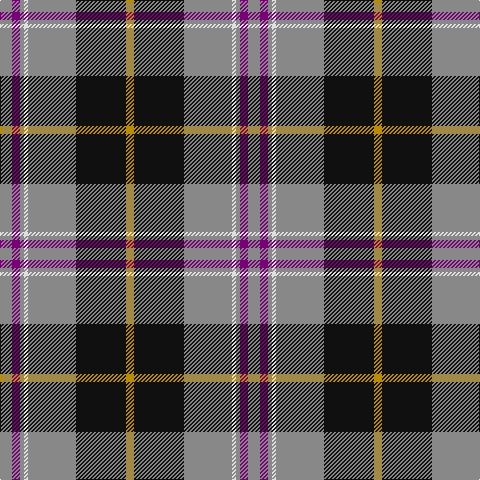 N/12 P8 N4 LN4 N48 K50 DY/8 tartan Tartan detail