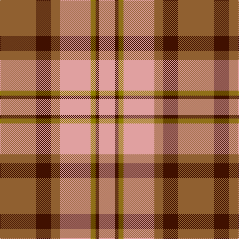LT/72 DR30 LT18 LR62 LG10 DR7 LR/32 tartan Tartan detail