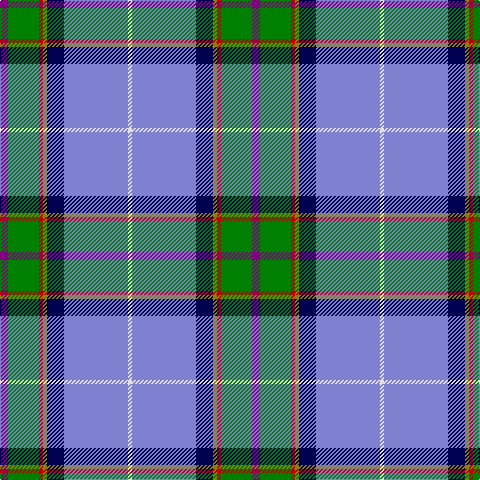 LN/4 B64 DB17 LG4 R4 G31 P/8 tartan Tartan detail